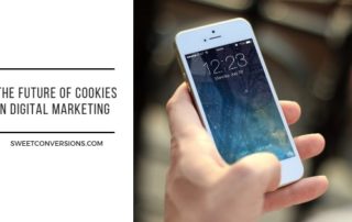 The future of cookies for digital marketing